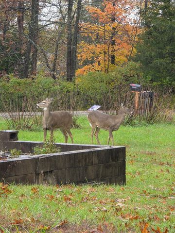 220 Leon Boulevard, Williamstown, KY 41097