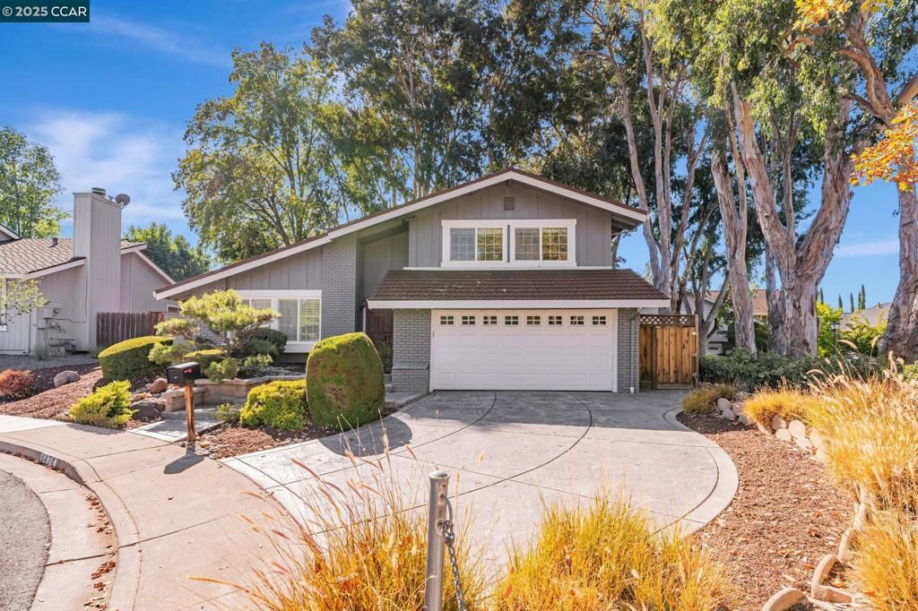 4474 River Ash Ct, Concord, CA 94521