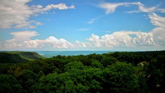 381 Patton School Road 02, South Pittsburg, TN 37380