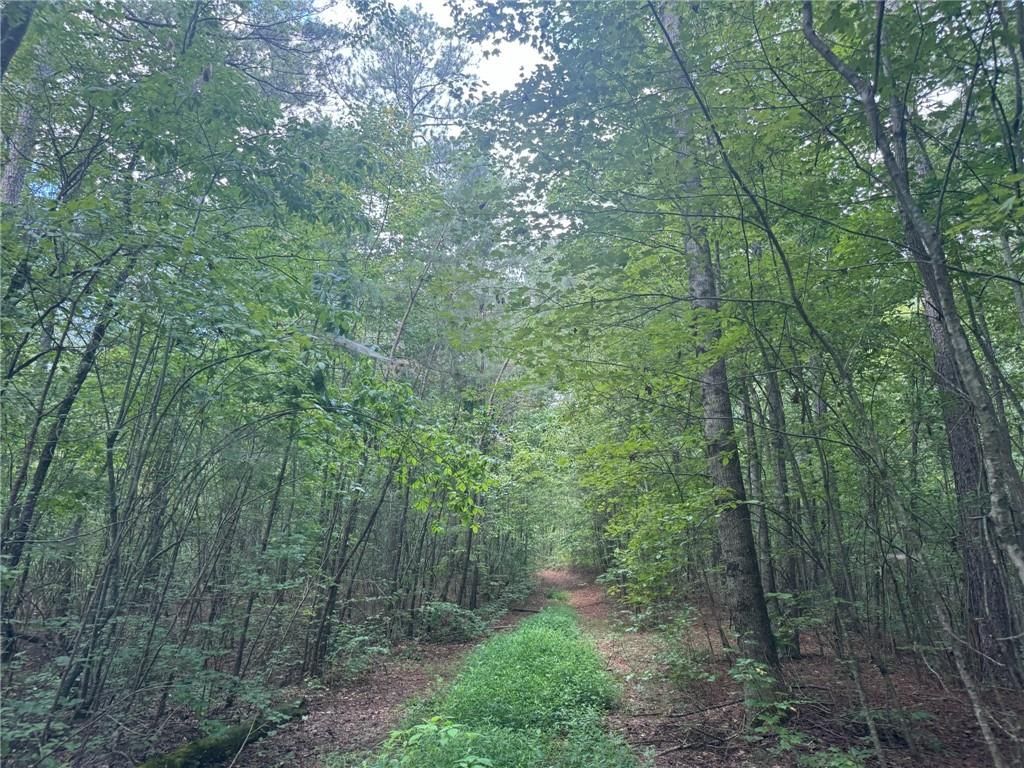 00 Tanner Hall Road, Dawsonville, GA 30534