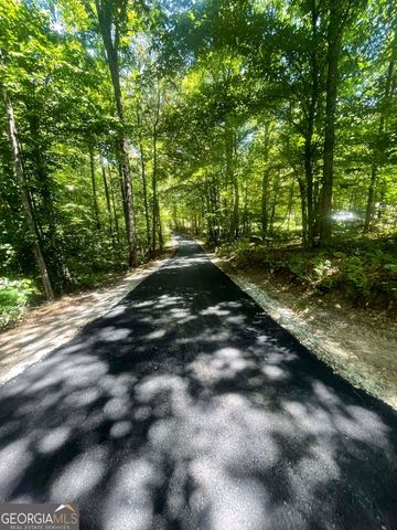 197 Blacks Mill Court, Dawsonville, GA 30534