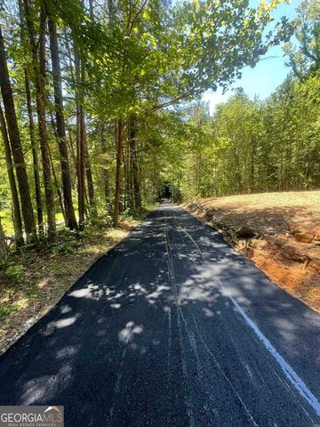 197 Blacks Mill Court, Dawsonville, GA 30534
