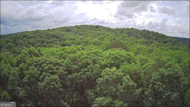 197 Blacks Mill Court, Dawsonville, GA 30534