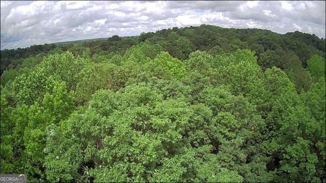 197 Blacks Mill Court, Dawsonville, GA 30534