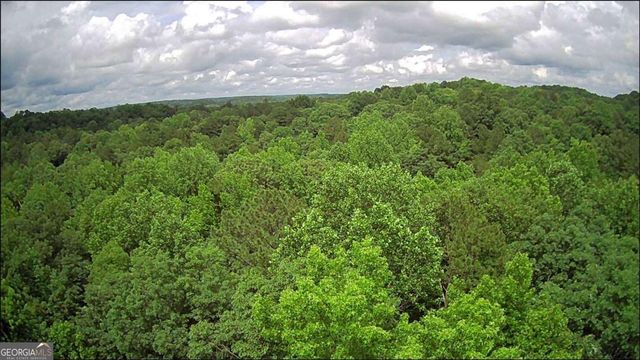 197 Blacks Mill Court, Dawsonville, GA 30534