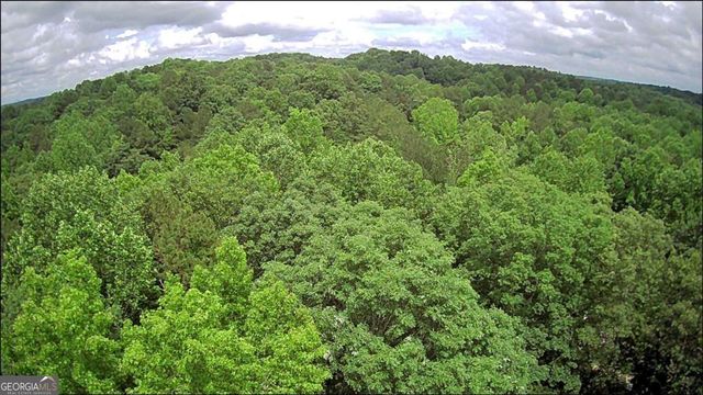 197 Blacks Mill Court, Dawsonville, GA 30534