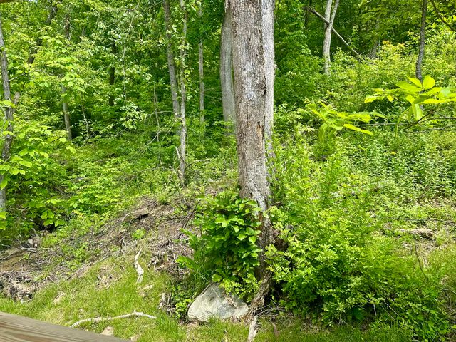 409 Freeman Branch Road, East Bernstadt, KY 40729