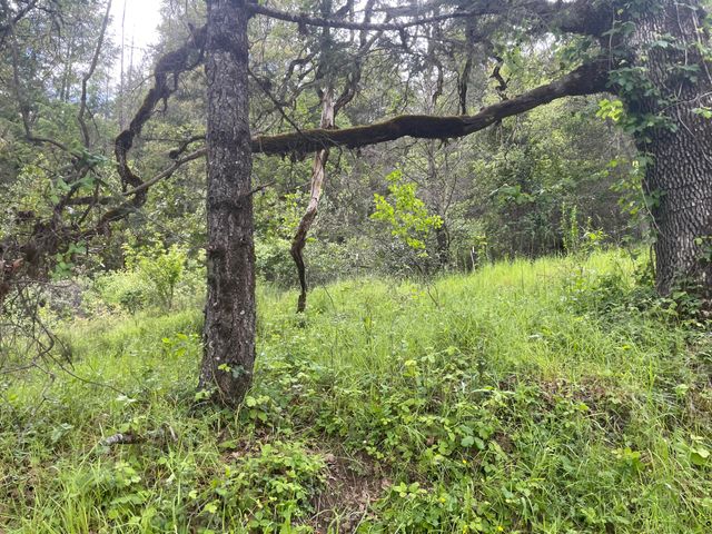 5615 Island Mountian Road, Garberville, CA 95542