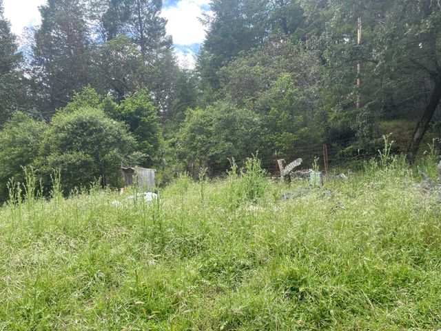 5615 Island Mountian Road, Garberville, CA 95542