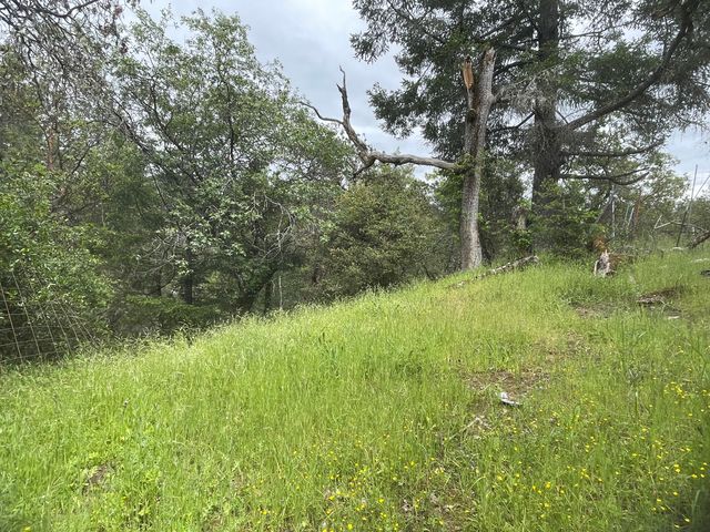 5615 Island Mountian Road, Garberville, CA 95542