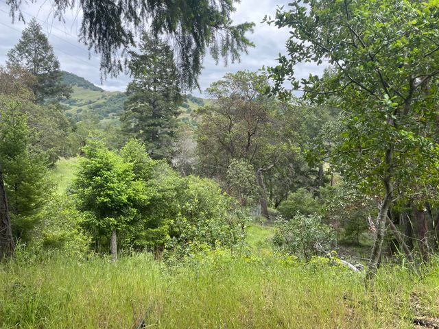 5615 Island Mountian Road, Garberville, CA 95542