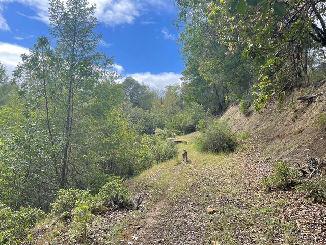 5615 Island Mountian Road, Garberville, CA 95542