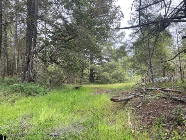 5615 Island Mountian Road, Garberville, CA 95542