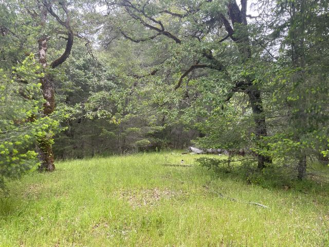 5615 Island Mountian Road, Garberville, CA 95542