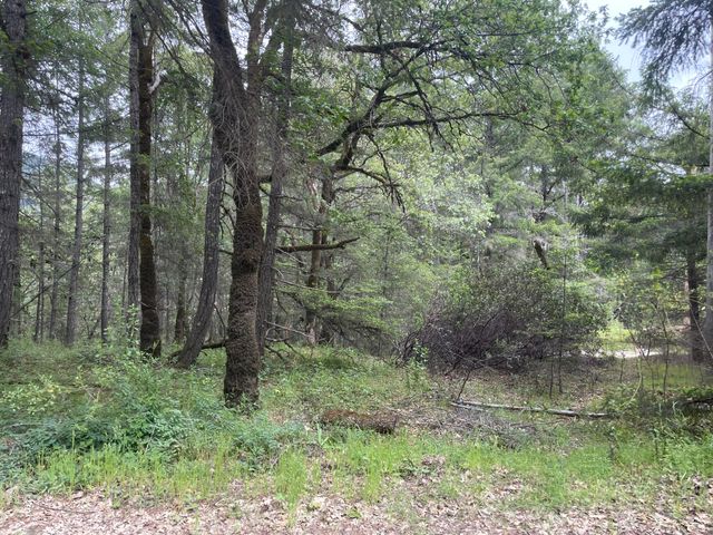 5615 Island Mountian Road, Garberville, CA 95542