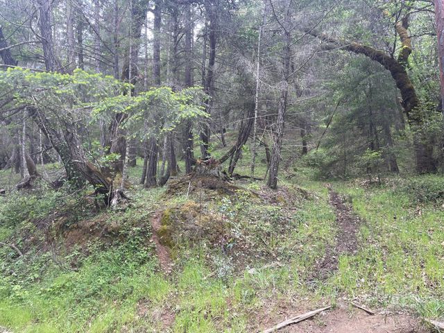 5615 Island Mountian Road, Garberville, CA 95542