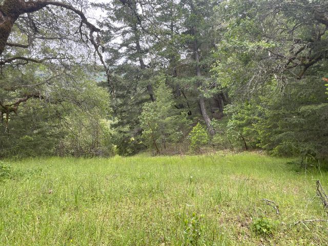 5615 Island Mountian Road, Garberville, CA 95542