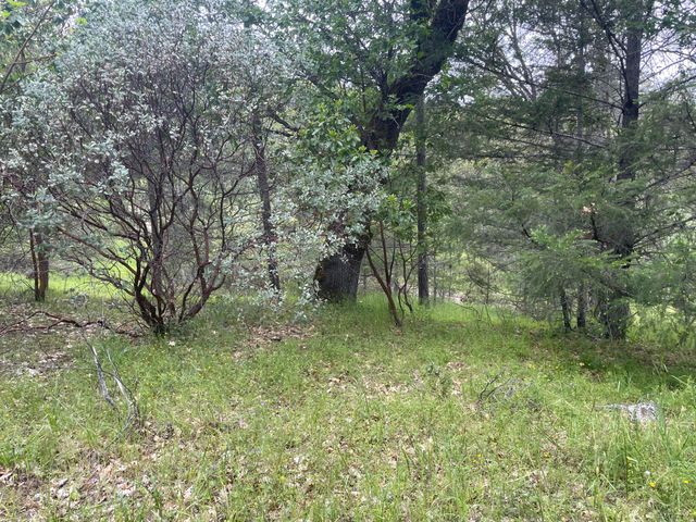 5615 Island Mountian Road, Garberville, CA 95542