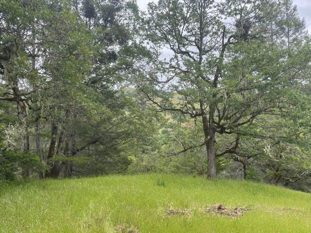 5615 Island Mountian Road, Garberville, CA 95542