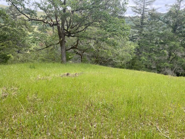 5615 Island Mountian Road, Garberville, CA 95542