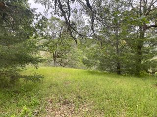 5615 Island Mountian Road, Garberville, CA 95542