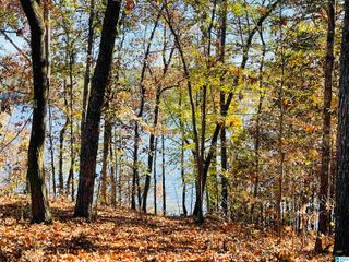 0 RANCH MARINA ROAD, Pell City, AL 35128