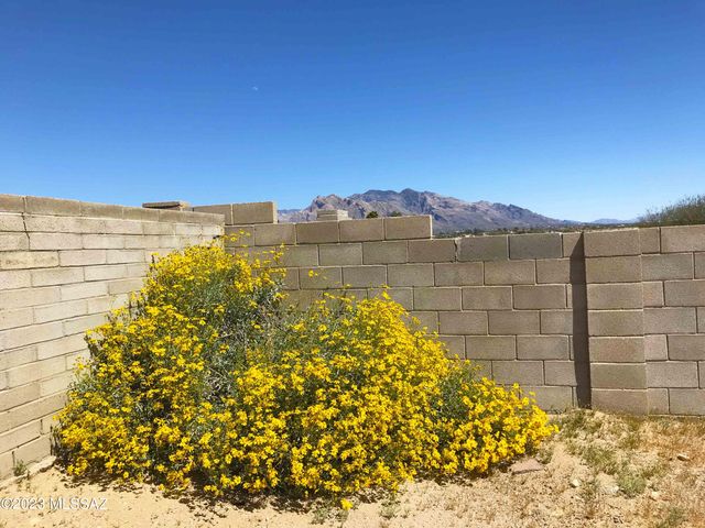 7800 N Nicole Place, Tucson, AZ 85741