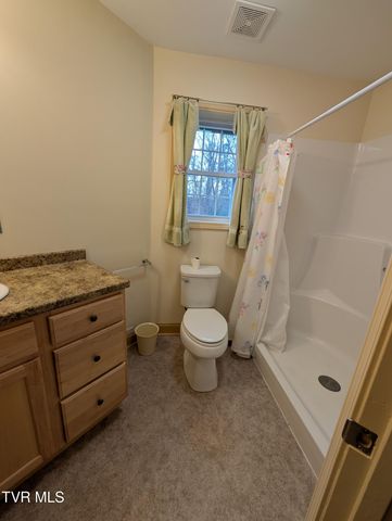 220 Crockett Timbers Road, Limestone, TN 37681