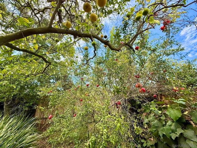 2235 Milton Court, San Diego, CA 92110