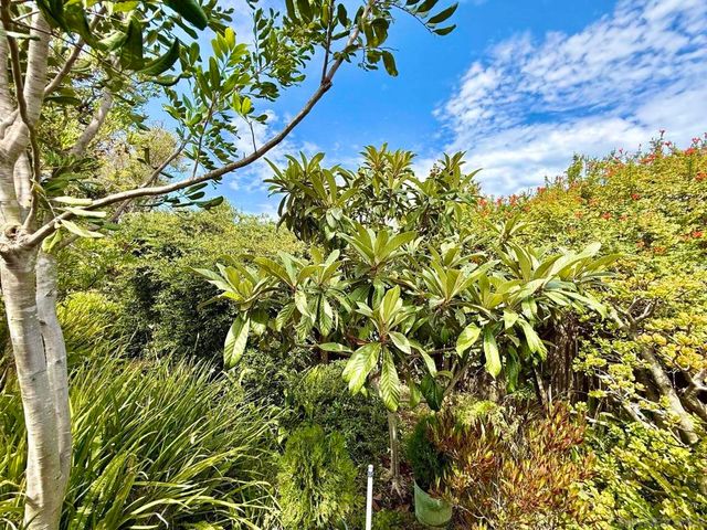 2235 Milton Court, San Diego, CA 92110