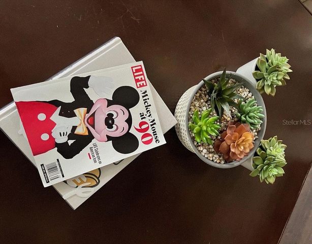 7609 EXCITEMENT DRIVE, Reunion, FL 34747