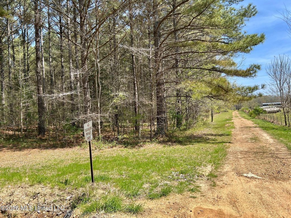 2250 Bend Road, Coldwater, MS 38618 — exterior