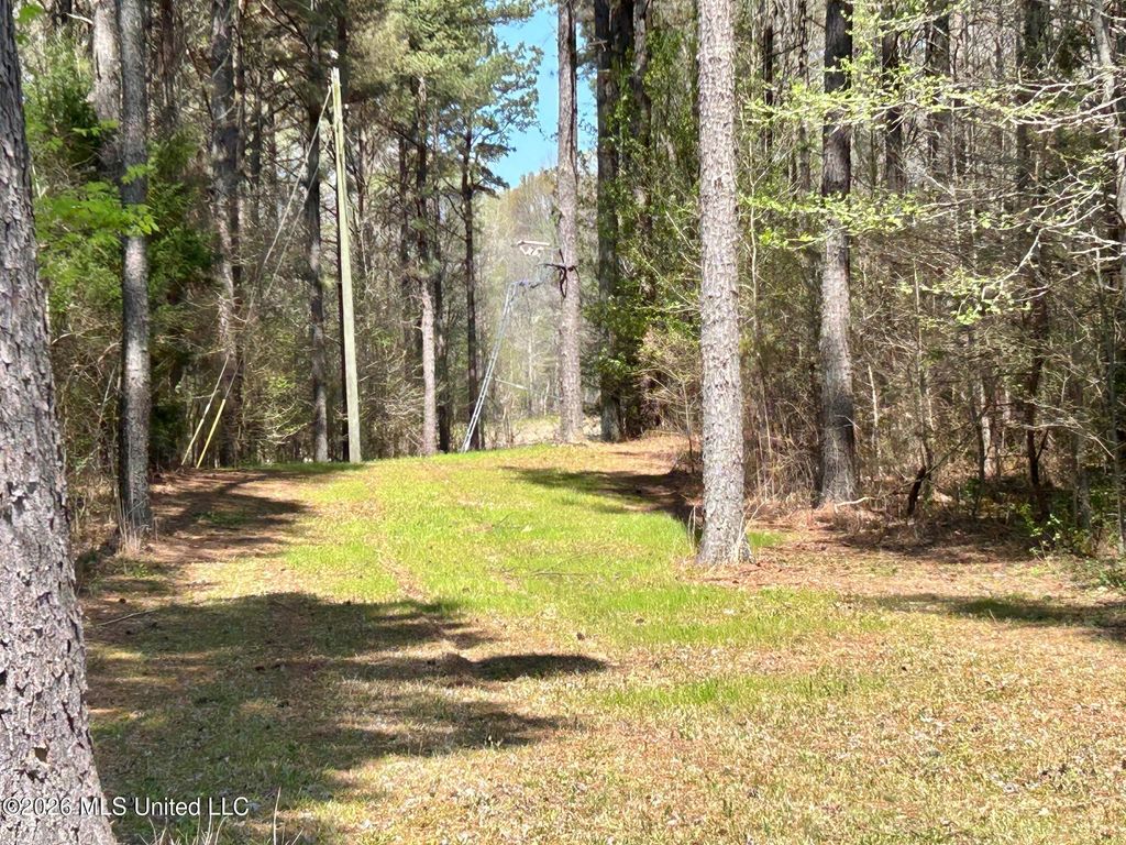 2250 Bend Road, Coldwater, MS 38618 — photo 2