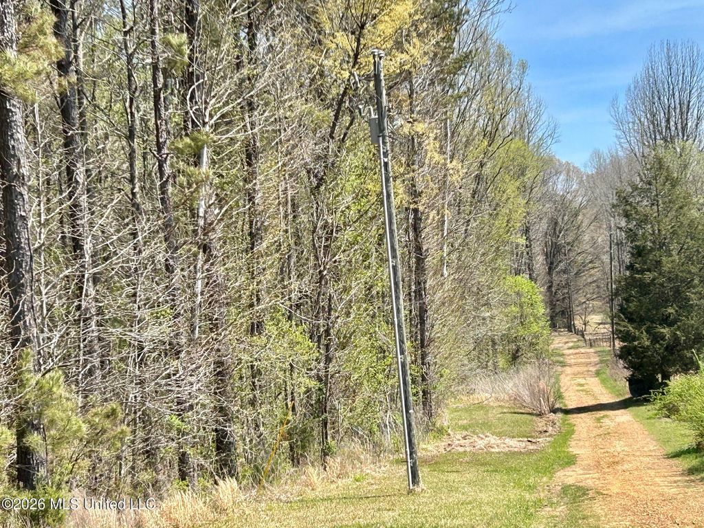 2250 Bend Road, Coldwater, MS 38618 — photo 3