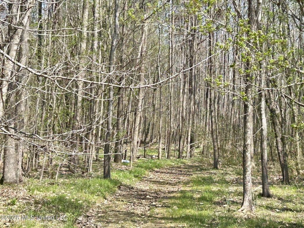 2250 Bend Road, Coldwater, MS 38618 — photo 4