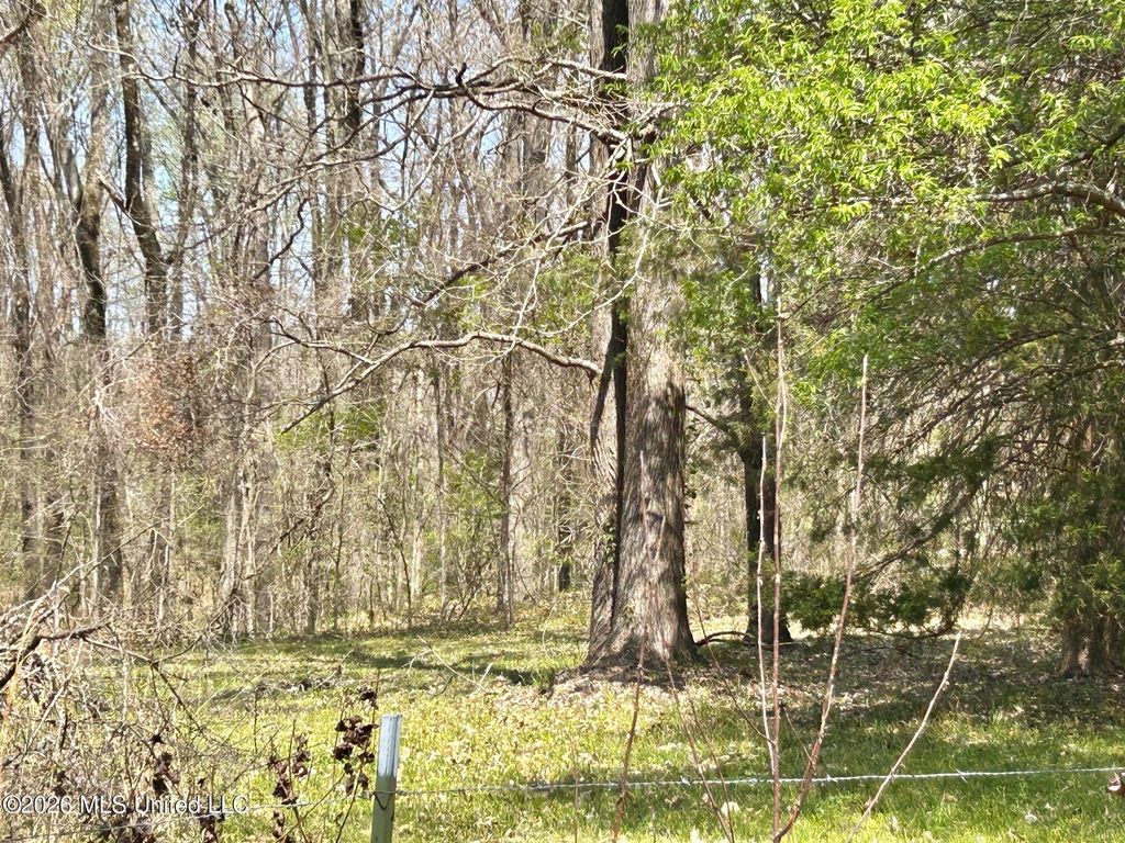 2250 Bend Road, Coldwater, MS 38618 — photo 5