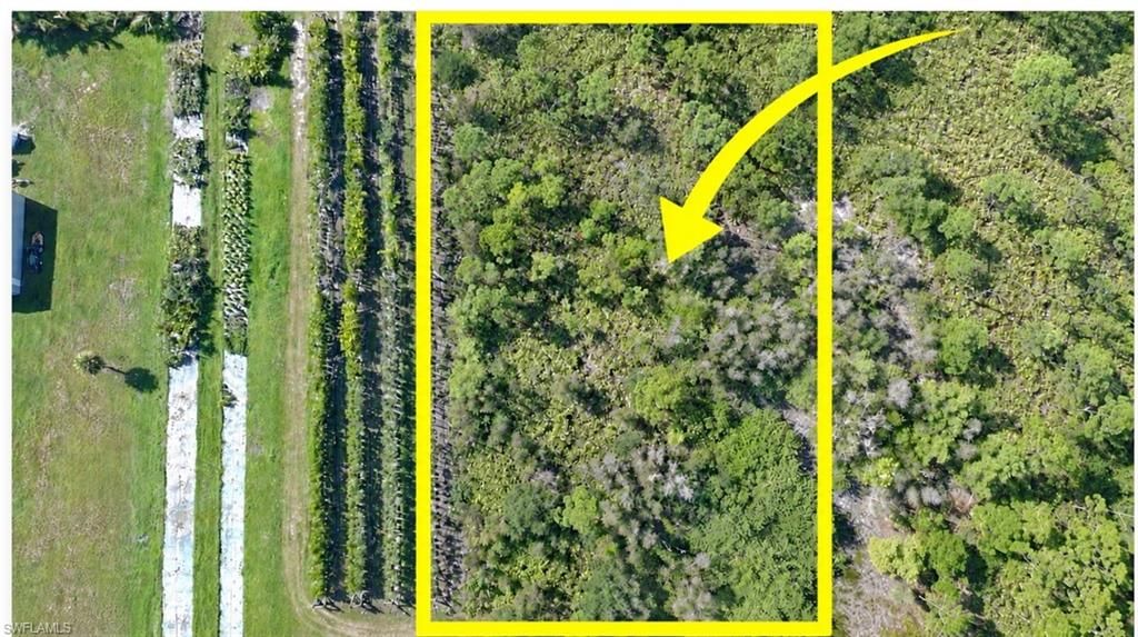 14999 Martinique WAY, BOKEELIA, FL 33922 — exterior
