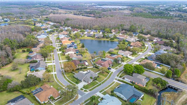 17505 TALLY HO COURT, Odessa, FL 33556