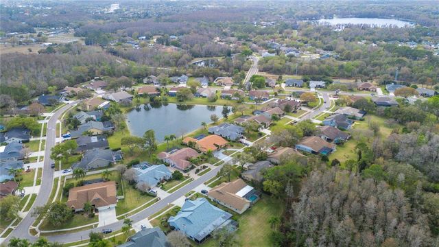 17505 TALLY HO COURT, Odessa, FL 33556