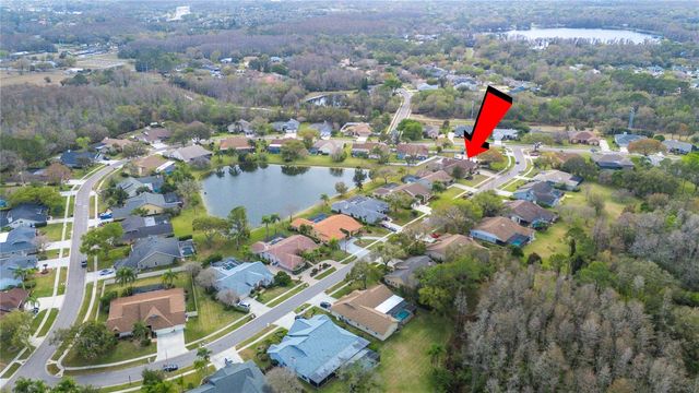 17505 TALLY HO COURT, Odessa, FL 33556