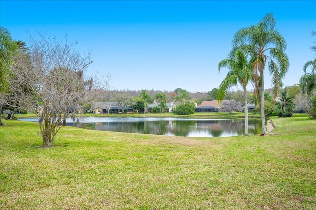 17505 TALLY HO COURT, Odessa, FL 33556