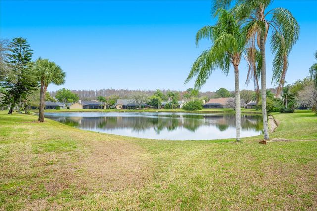 17505 TALLY HO COURT, Odessa, FL 33556