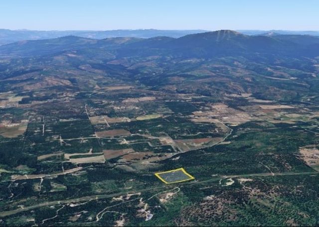 34711 N Waldrons Ln, Chattaroy, WA 99003