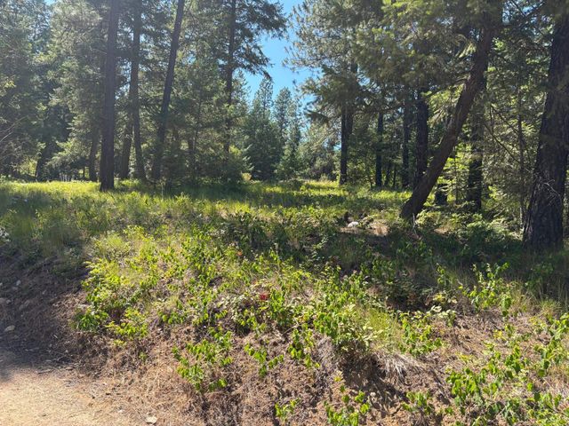 34711 N Waldrons Ln, Chattaroy, WA 99003