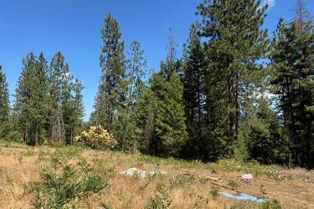 34711 N Waldrons Ln, Chattaroy, WA 99003