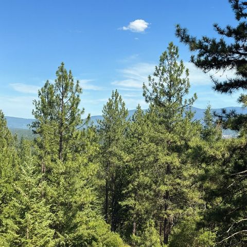 34711 N Waldrons Ln, Chattaroy, WA 99003