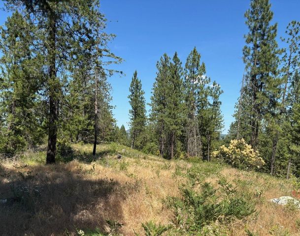 34711 N Waldrons Ln, Chattaroy, WA 99003