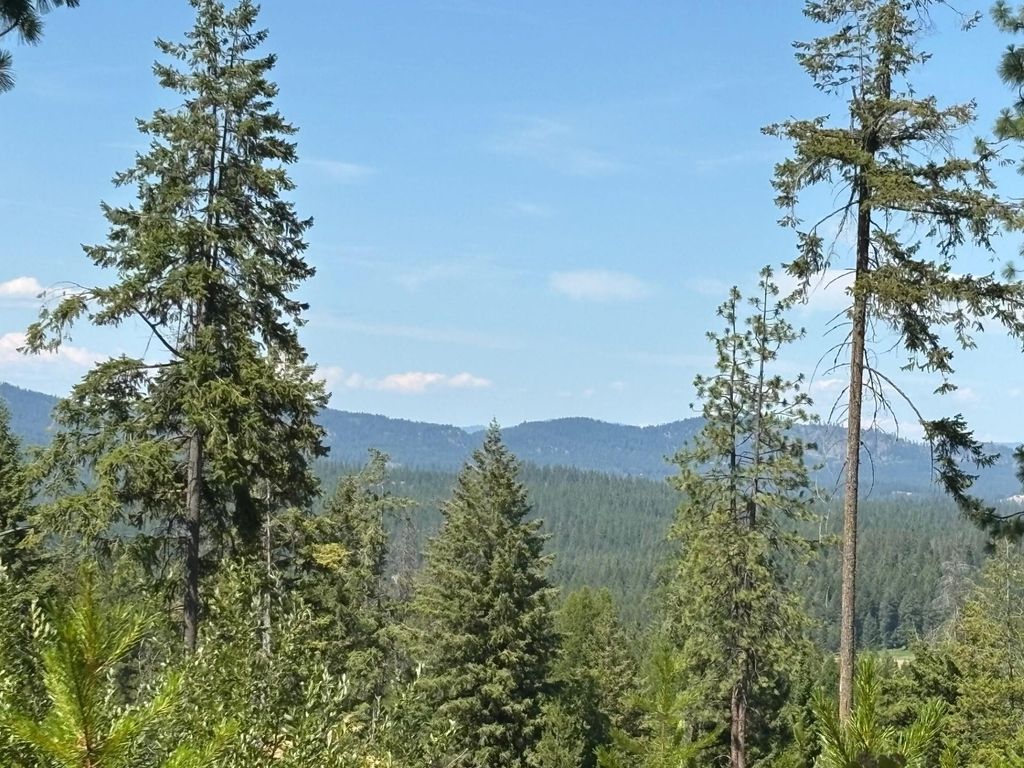 34711 N Waldrons Ln, Chattaroy, WA 99003