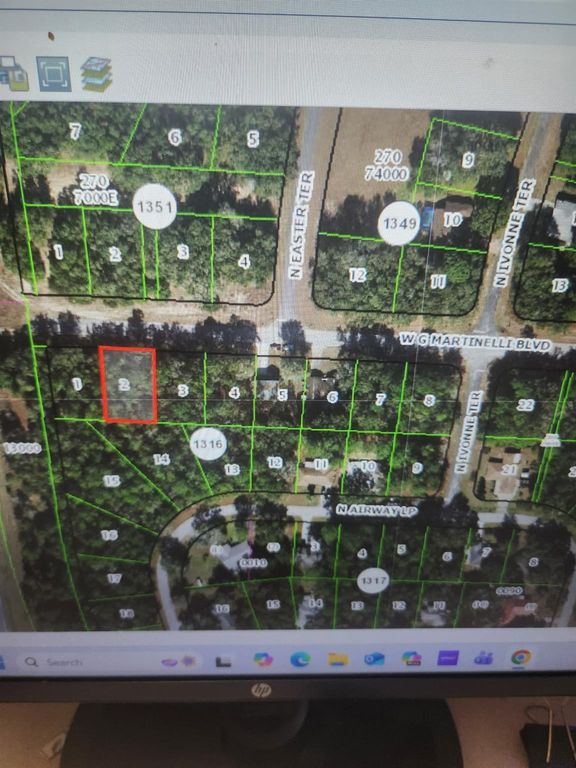 1248 W G Martinelli Blvd, Citrus Springs, FL 34434