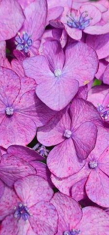 954 Belmont Rd, Manchester, TN 37355